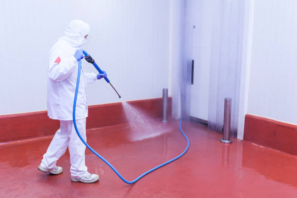 Best Sidewalk and Walkway Cleaning  in Florence, MS